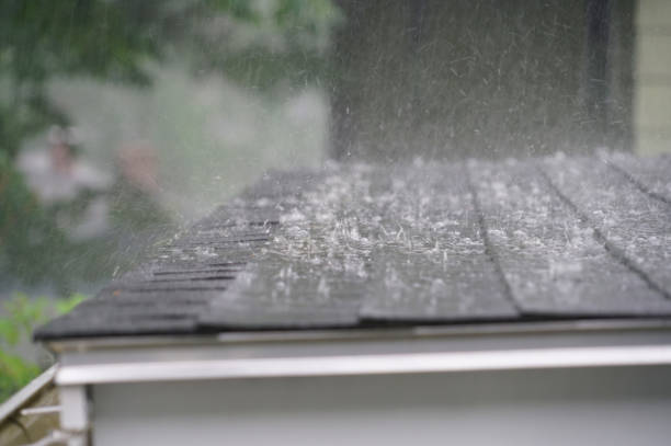 Best Skylight Installation and Repair  in Exeter, CA