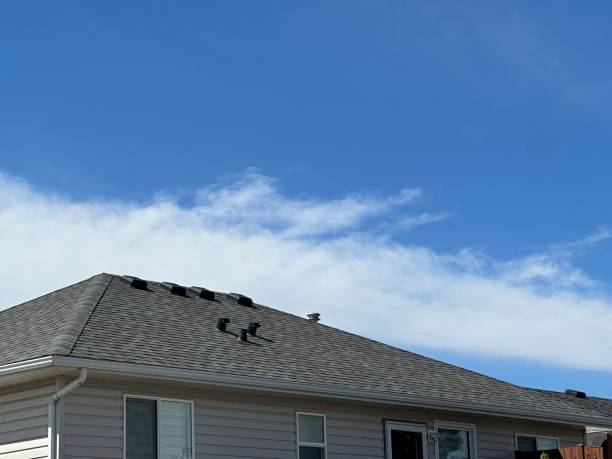 Best Skylights  in Exeter, CA